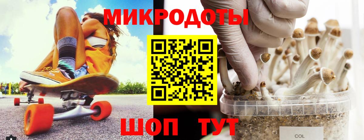 Советский  Галлюциногенные грибы Psilocybine cubensis  Вход с VPN 